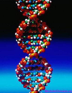 Здоровье ДНК